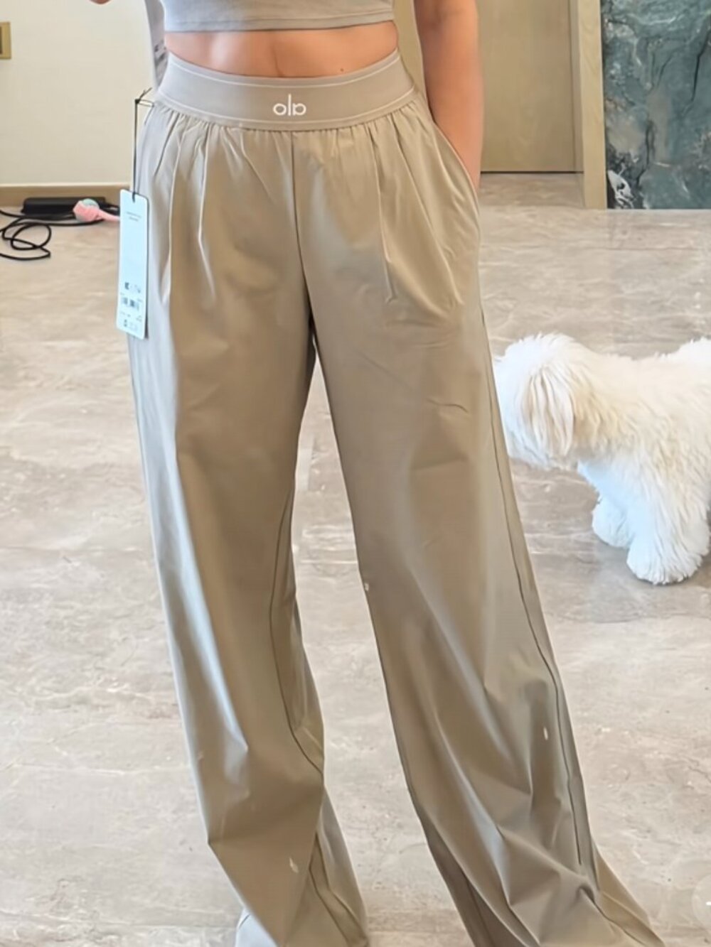 Alo Yoga Gravel Suit Up Trouser Regular Length-30" Inseam(Brand new with tags)📮